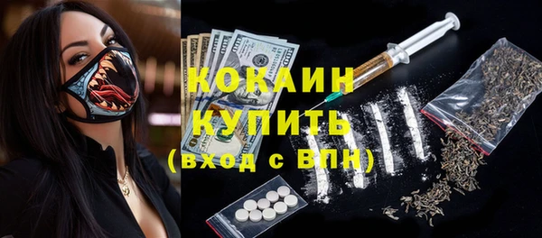 гидра Абаза