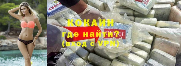 гидра Абаза