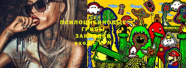твердый Алзамай